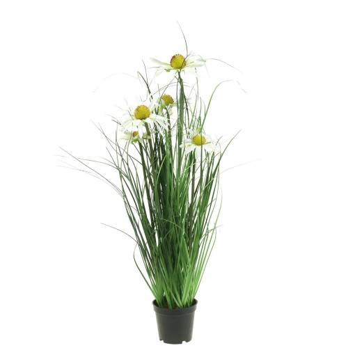 Floristik24 Erba con echinacea artificialmente nel vaso bianco 52 cm