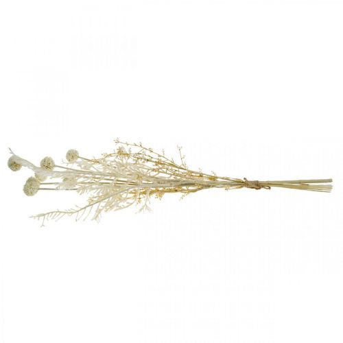 Prodotto Erbe secche erba di pampa artificiale allium crema, beige H60cm
