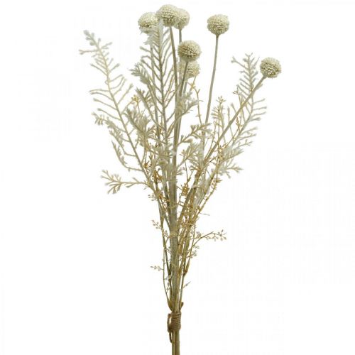 Floristik24 Erbe secche erba di pampa artificiale allium crema, beige H60cm