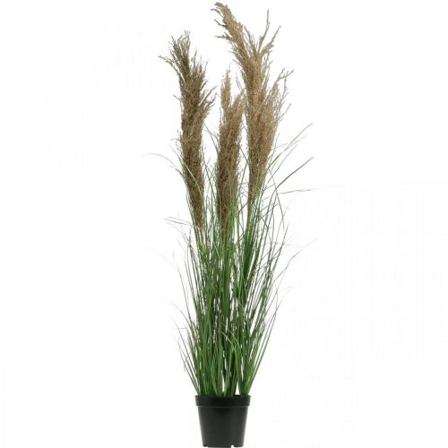 Prodotto Carice artificiale in vaso con fiori secchi verde, marrone 98cm
