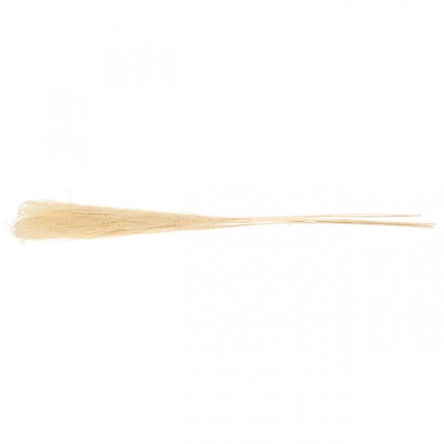 Floristik24 Erba decorativa secca erba ornamentale naturale decorazione secca 6 steli