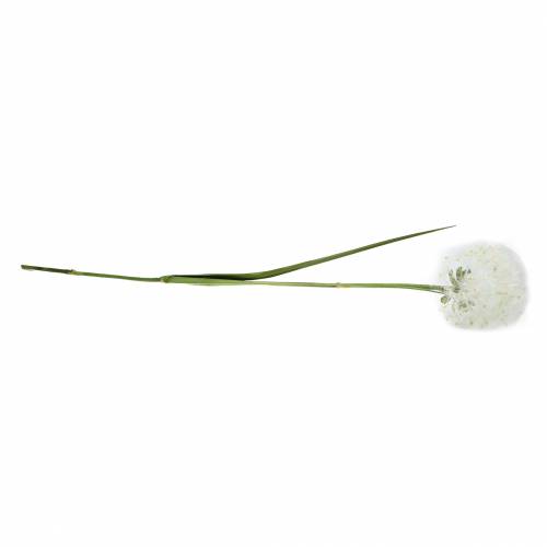 Floristik24 Tarassaco decorativo 100 cm