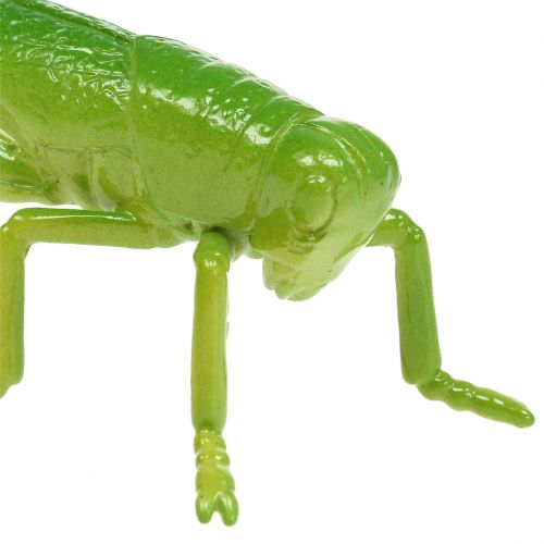 Prodotto Cavalletta verde 11 cm 1 pezzo
