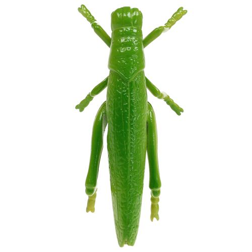 Prodotto Cavalletta verde 11 cm 1 pezzo