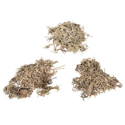 Muschio decorativo, muschio grigio per lavori artigianali, 500 g | Floristik24.it