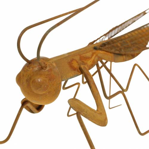 Floristik24 Griglia decorativa per giardino in metallo nobile ruggine 14,5 cm