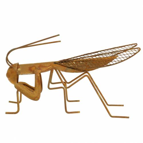 Floristik24 Griglia decorativa per giardino in metallo nobile ruggine 14,5 cm
