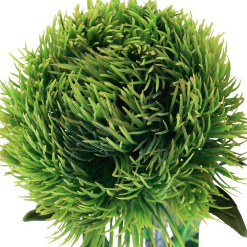 Floristik24 Fiore artificiale garofano barbuto verde come dal giardino 54 cm