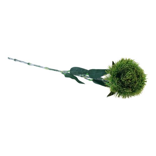 Floristik24 Fiore artificiale garofano barbuto verde come dal giardino 54 cm