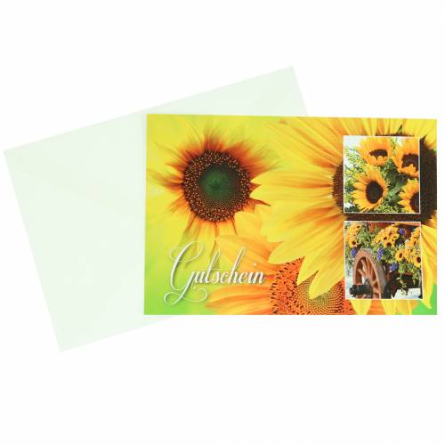 Floristik24 Buono girasole con busta 5pz