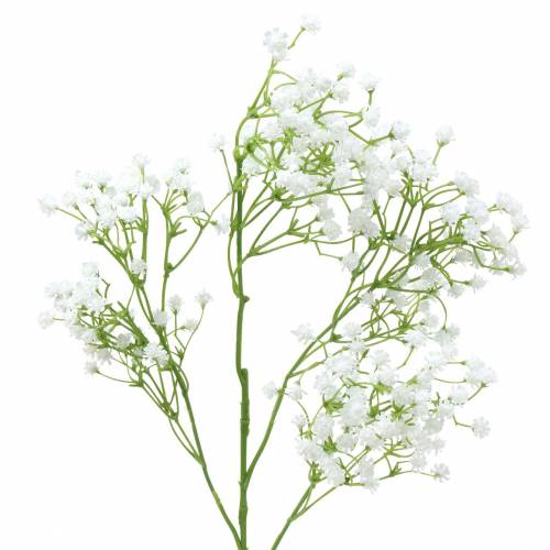 Floristik24 Baby's Breath Gypsophila Bianco 66cm