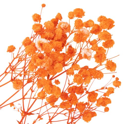Bouquet di fiori secchi di Gypsophila (velo da sposa), 75 cm, 100 g | Floristik24.it