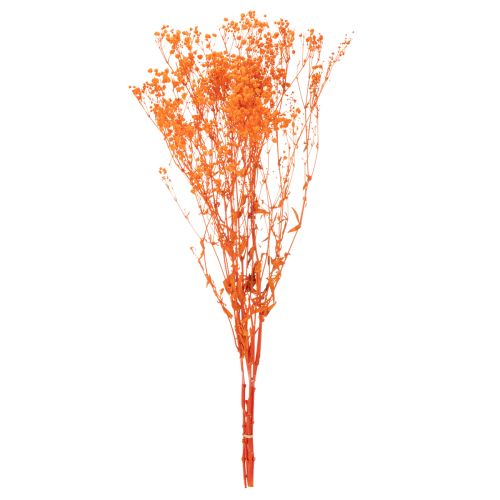 Bouquet di fiori secchi di Gypsophila (velo da sposa), 75 cm, 100 g | Floristik24.it