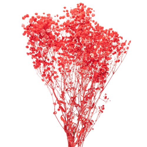 Mazzetto di Gypsophila essiccata, 75 cm, 100 g acquistare | Floristik24.it