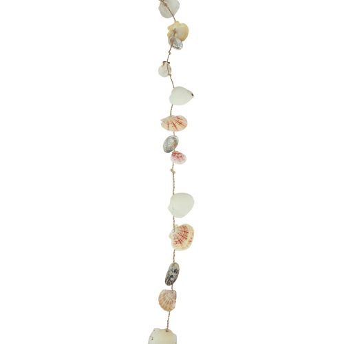 Prodotto Decorazione da appendere decorazione conchiglia marittima naturale 110 cm Ø5–10 cm