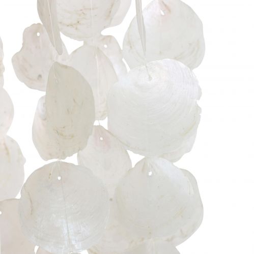 Floristik24 Conchiglie decorative sospese Decorazione con campanello a vento Capiz Ø29cm 185cm
