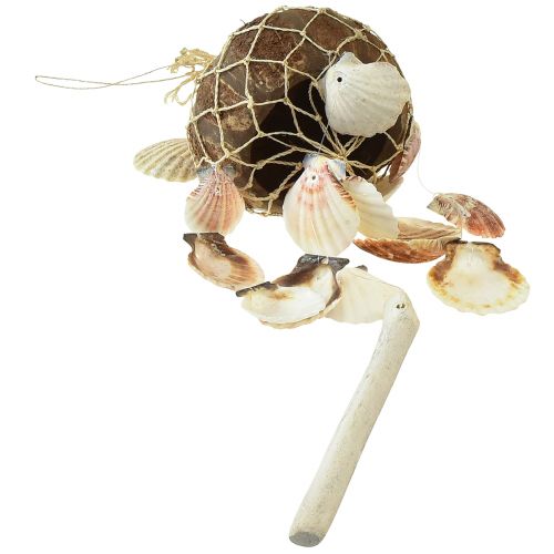Prodotto Conchiglie decorative da appendere Decorazione conchiglia di cocco marittima 53 cm 2 pezzi