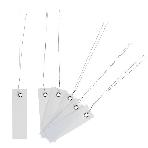 Prodotto Etichette pendenti bianche 18mm x 60mm 250 pz
