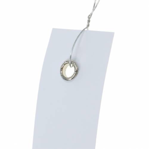 Floristik24 Etichette pendenti bianche 20mm x 80mm 250 pz