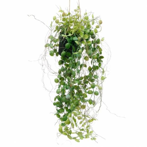 Prodotto Pianta pensile in vaso Pianta verde artificiale Cesto pensile