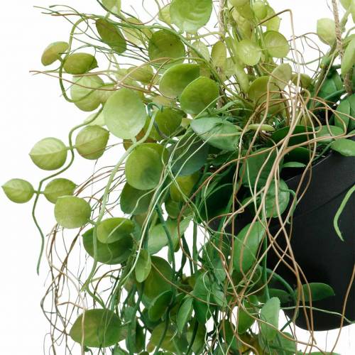 Prodotto Pianta pensile in vaso Pianta verde artificiale Cesto pensile