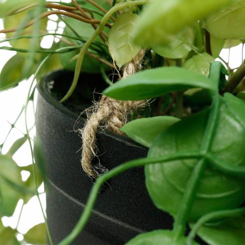 Prodotto Pianta pensile in vaso Pianta verde artificiale Cesto pensile