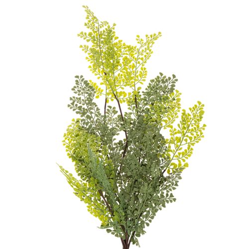 Ramo di felce artificiale, delicato, per vaso, 80 cm | Floristik24.it