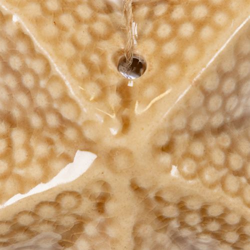 Prodotto Decorazione a forma di stella marina in ceramica da appendere, per un tocco marittimo, decorazione estiva per la casa, 12 cm, 2 pezzi