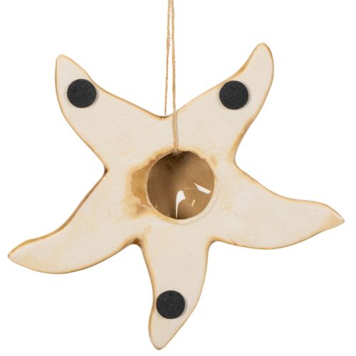 Prodotto Decorazione a forma di stella marina in ceramica da appendere, per un tocco marittimo, decorazione estiva per la casa, 12 cm, 2 pezzi