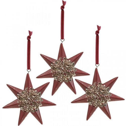 Floristik24 Ciondolo natalizio decorativo Stella da appendere Bordeaux 4 pz