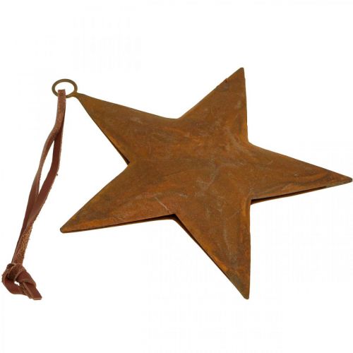 Floristik24 Ciondolo natalizio stella in metallo effetto ruggine H13,5 cm