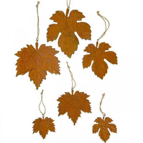 Floristik24 Foglie decorative autunnali in metallo effetto ruggine foglia d'acero 6 pz