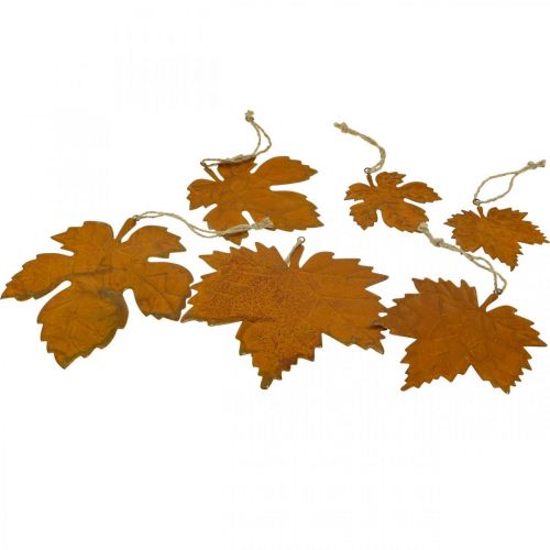 Floristik24 Foglie decorative autunnali in metallo effetto ruggine foglia d'acero 6 pz