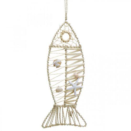 Floristik24 Decorazione pesce marittimo con vimini e conchiglie, gancio decorativo a forma di pesce natura 38cm