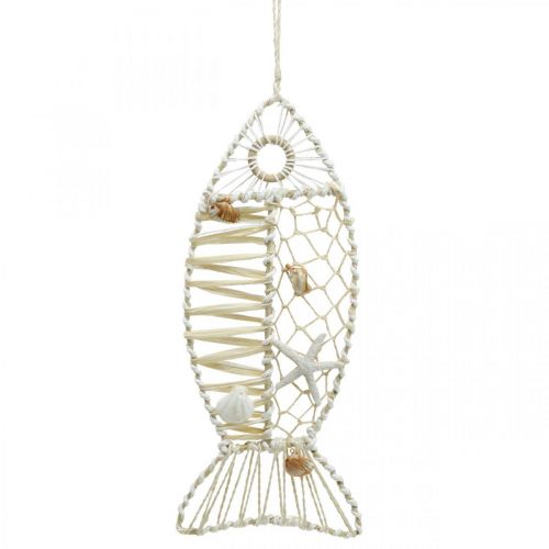 Floristik24 Pesce decorativo con decorazione a conchiglia, decorazione marinara, pesce da appendere bianco 38cm