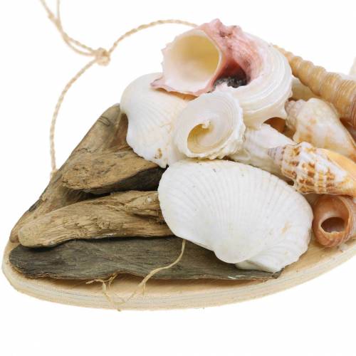 Floristik24 Decorazione marittima per pesci appesi con conchiglie legno 18cm