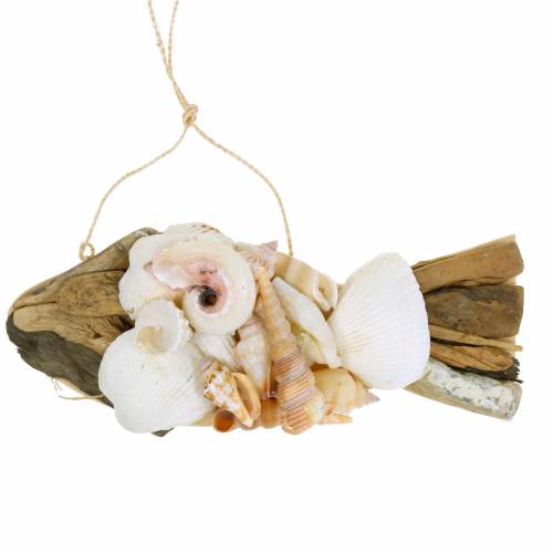 Floristik24 Decorazione marittima per pesci appesi con conchiglie legno 18cm