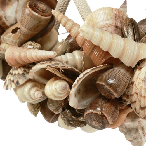 Prodotto Anello decorativo in legno lumache di mare decorazione conchiglia naturale Ø25cm