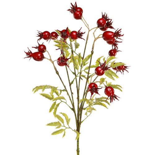 Rami decorativi artificiali di rosa canina con 7 frutti rosso scuro 48 cm