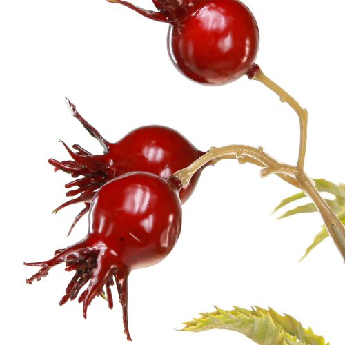 Prodotto Rami decorativi artificiali di rosa canina con 7 frutti rosso scuro 48 cm