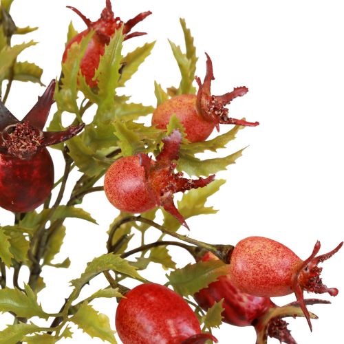 Prodotto Decorazione di rosa canina rami di rosa canina artificiale L48cm 3 pezzi