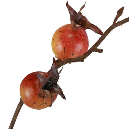 Ramo di rosa canina Giallo/Arancione Ramo di rosa canina artificiale Deco L95cm