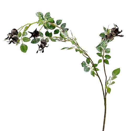 Floristik24 Ramo di rosa canina L92cm con neve