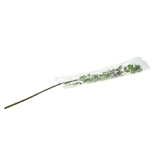 Floristik24 Ramo di rosa canina L92cm con neve