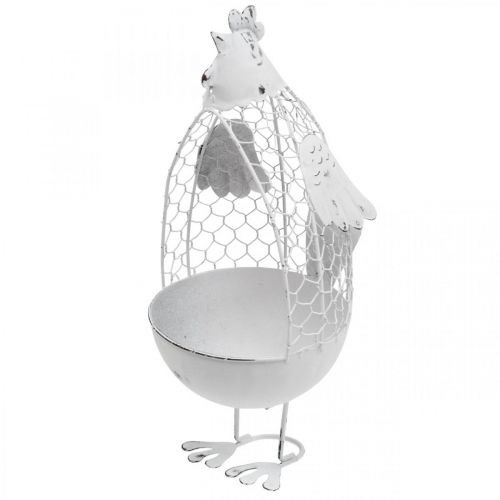 Floristik24 Pollo da piantare, cestino a traliccio, decorazione pasquale, stile country bianco, argento H26,5 cm Ø11,5 cm