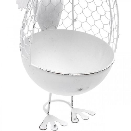 Floristik24 Pollo da piantare, cestino a traliccio, decorazione pasquale, stile country bianco, argento H26,5 cm Ø11,5 cm