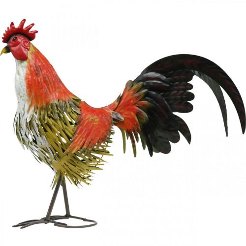 Floristik24 Gallo decorativo in metallo colorato decorazione da giardino figura decorazione in metallo 58 × 13 × 50 cm