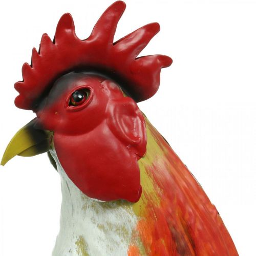 Gallo decorativo in metallo colorato decorazione da giardino figura decorazione in metallo 58 × 13 × 50 cm