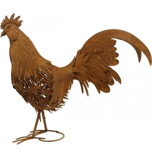 Floristik24 Gallo arrugginito decorazione da giardino patina decorazione figura in metallo 58×13×50 cm