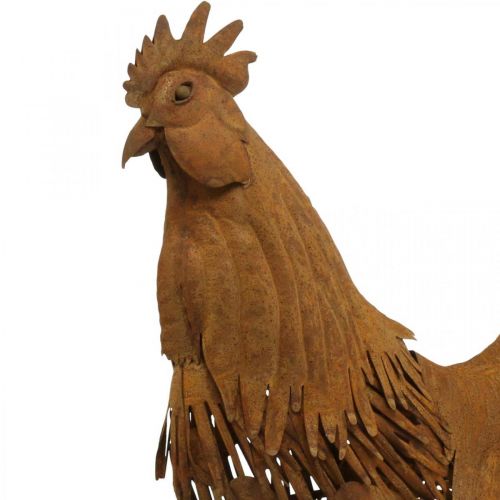 Floristik24 Gallo arrugginito decorazione da giardino patina decorazione figura in metallo 58×13×50 cm